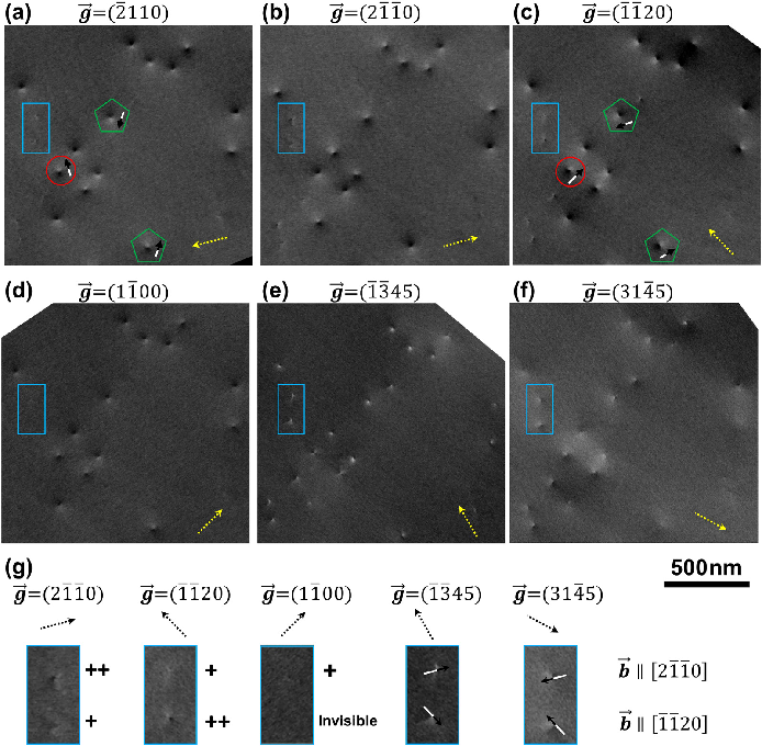 场发射内蒙古扫描电镜