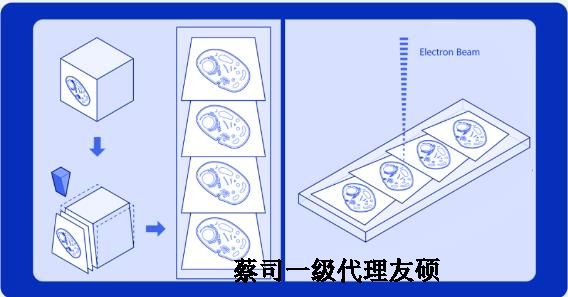 内蒙古蔡司内蒙古扫描电镜